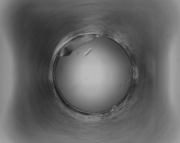 X0000111120004200907141200