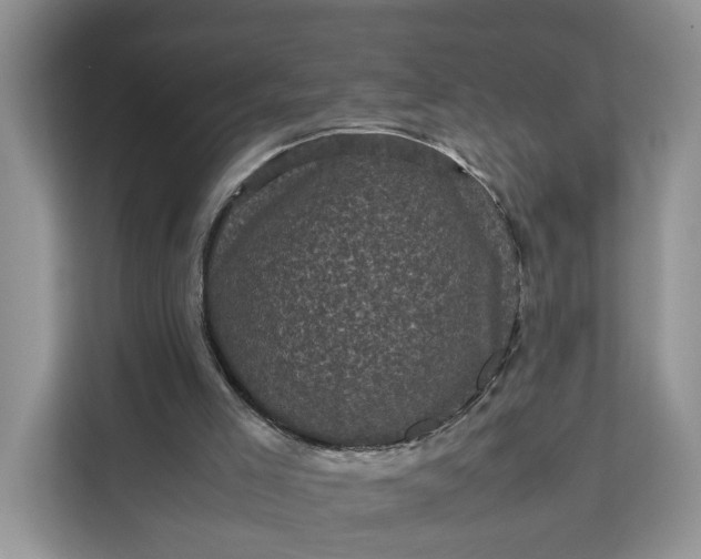 X0000111120005200907141200