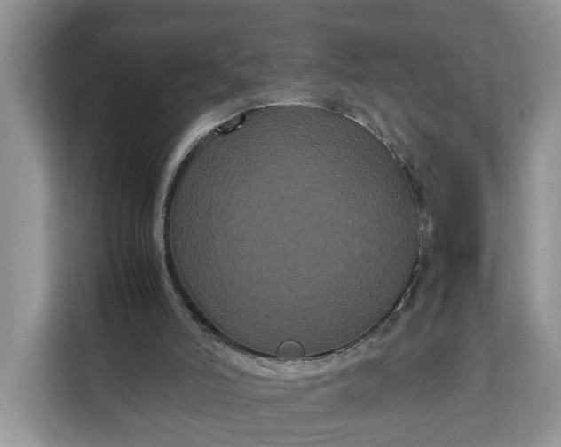 X0000111120006200907141200