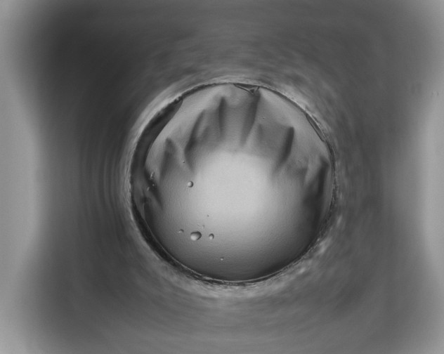 X0000111120007200907141200