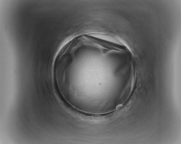 X0000111120008200907141200