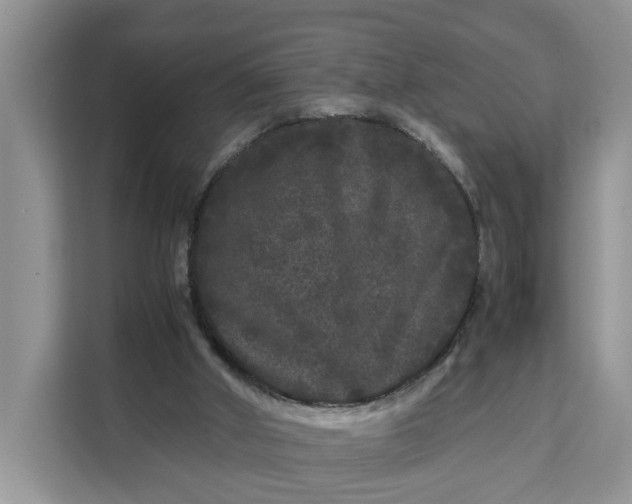 X0000111120010200907141200