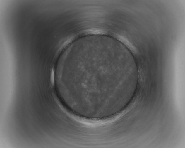 X0000111120014200907141200