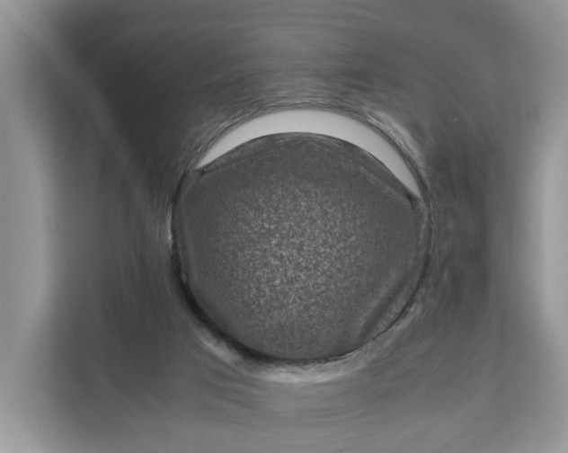 X0000111120017200907141200