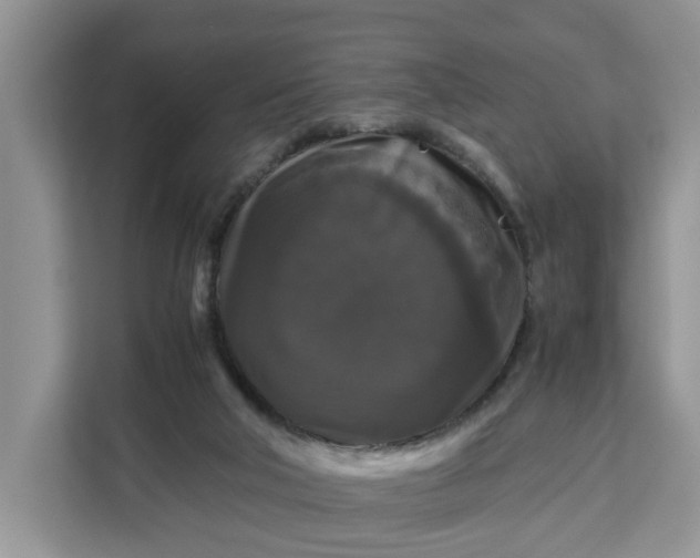 X0000111120018200907141200