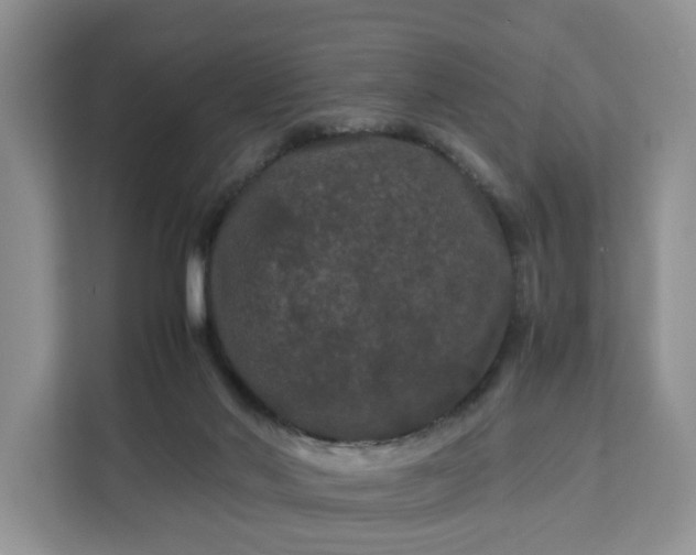 X0000111120022200907141200