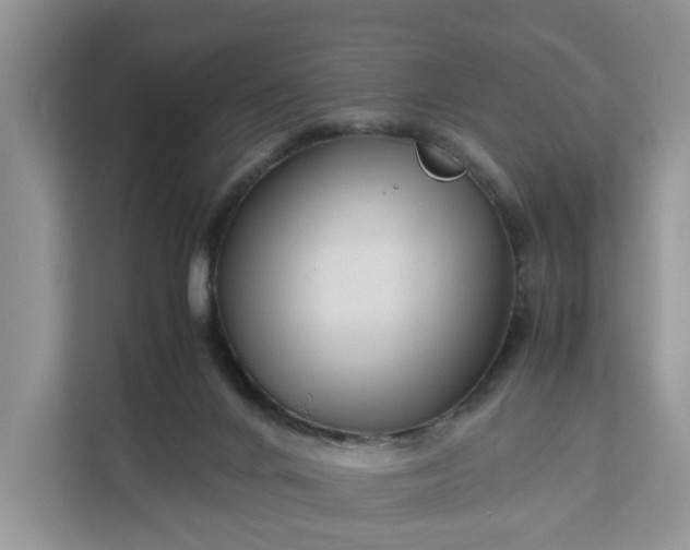 X0000111120024200907141200