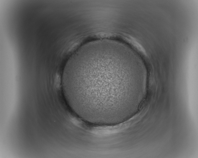 X0000111120025200907141200