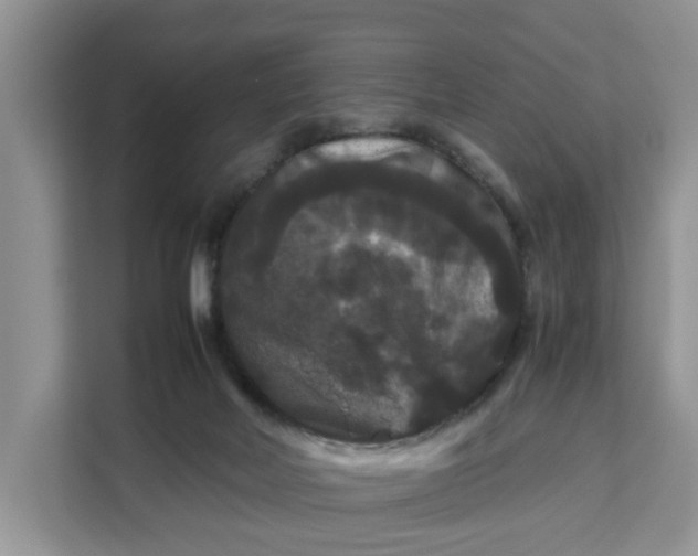 X0000111120026200907141200