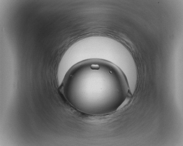 X0000111120029200907141200