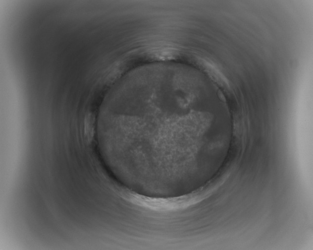 X0000111120030200907141200