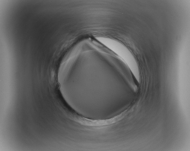 X0000111120031200907141200