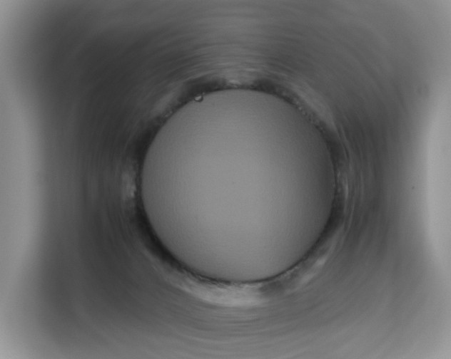 X0000111120032200907141159