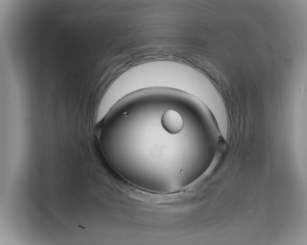 X0000111120035200907141159