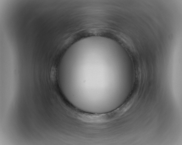 X0000111120036200907141159