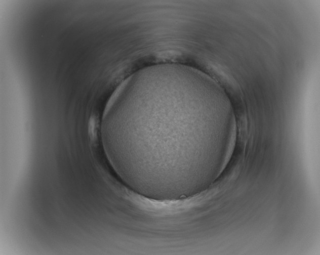 X0000111120038200907141159