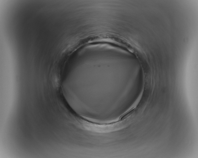 X0000111120039200907141159