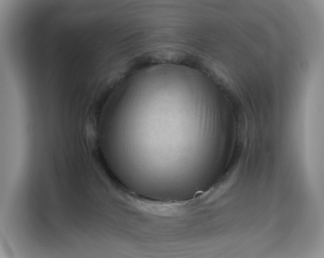 X0000111120040200907141159