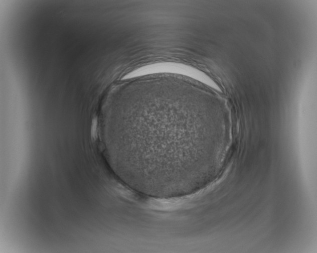 X0000111120041200907141159