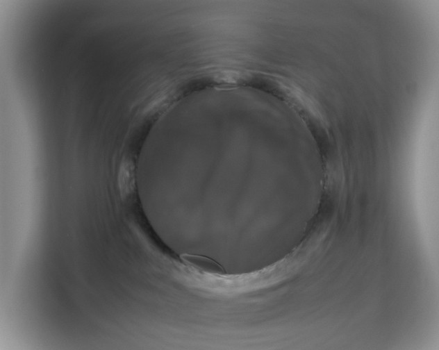 X0000111120043200907141159