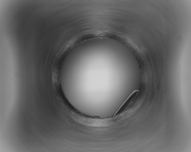 X0000111120044200907141159