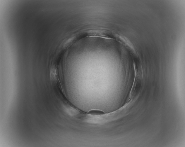 X0000111120045200907141159