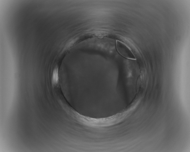 X0000111120046200907141159