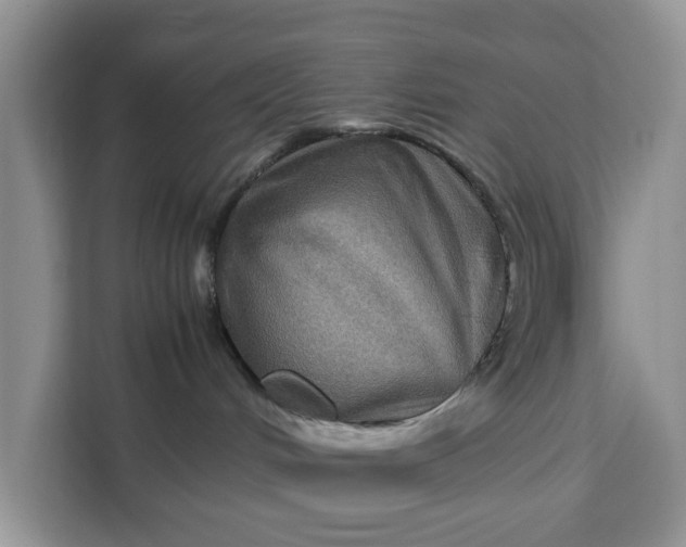 X0000111120048200907141159