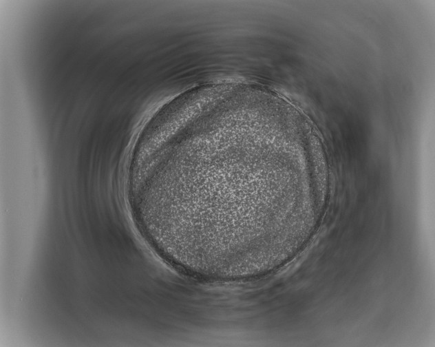 X0000111120049200907141159