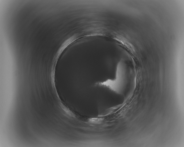 X0000111120051200907141159