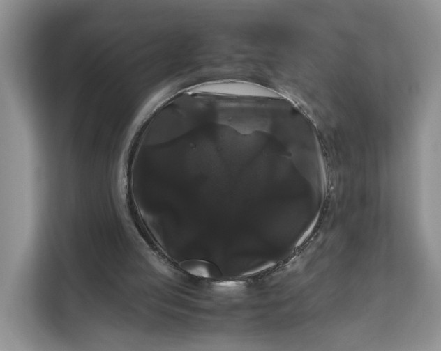 X0000111120053200907141159