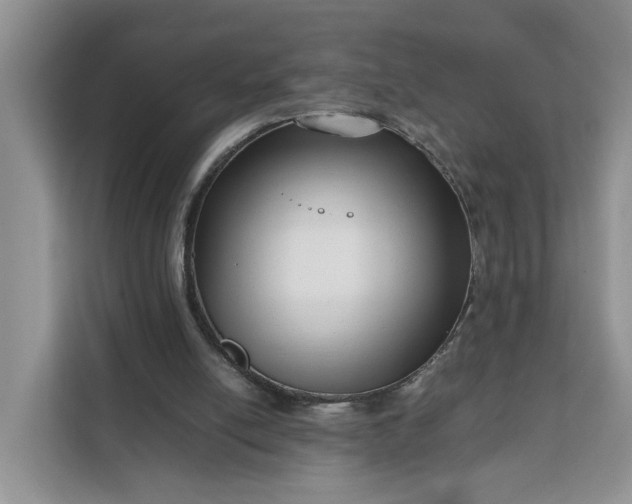 X0000111120054200907141159