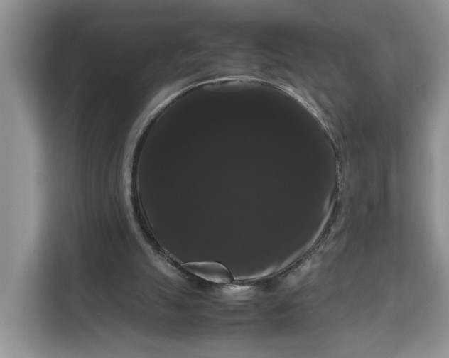 X0000111120055200907141159