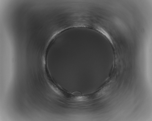 X0000111120059200907141159