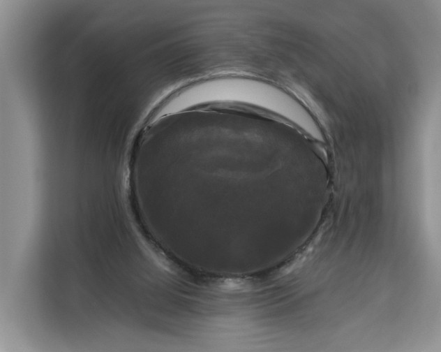 X0000111120060200907141159