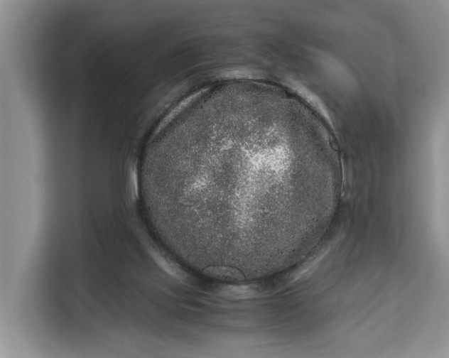 X0000111120061200907141159