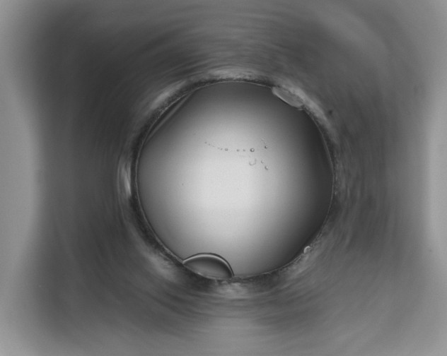 X0000111120062200907141159