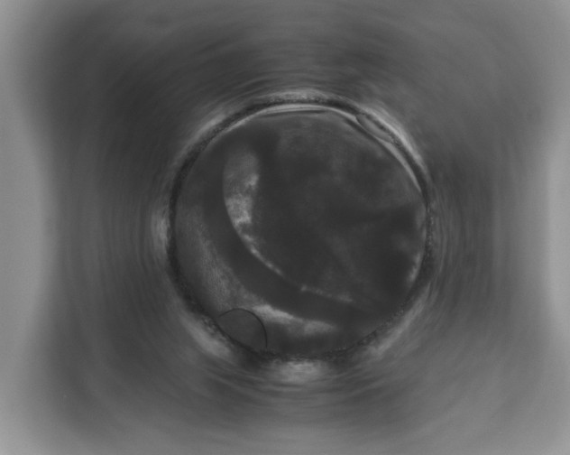 X0000111120063200907141159