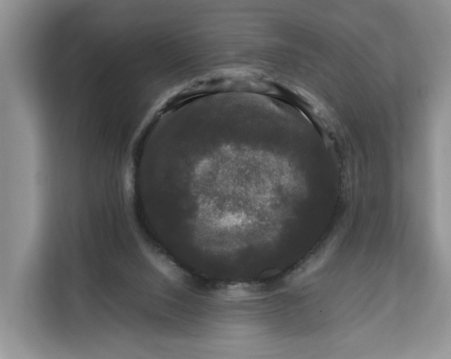 X0000111120064200907141159