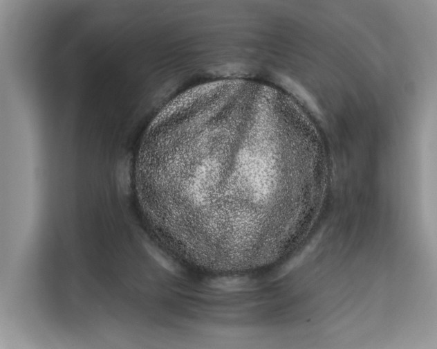 X0000111120065200907141159