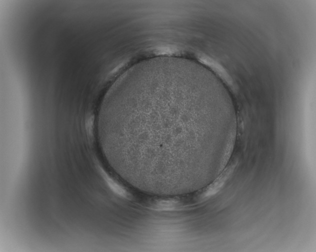 X0000111120066200907141159