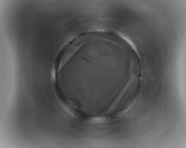 X0000111120067200907141159