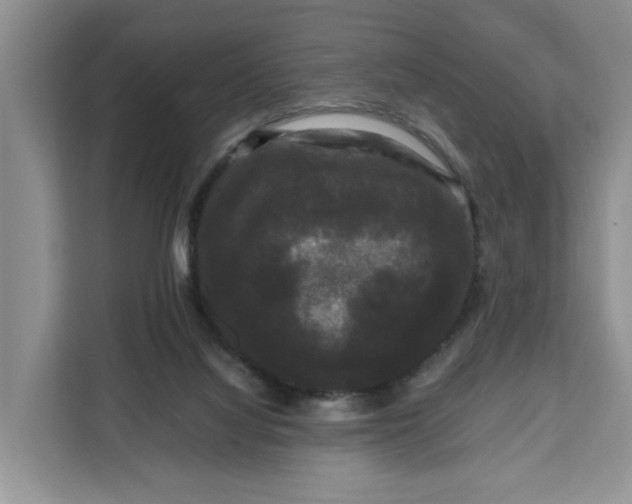 X0000111120068200907141159