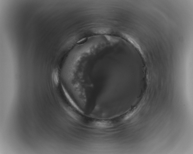 X0000111120069200907141159