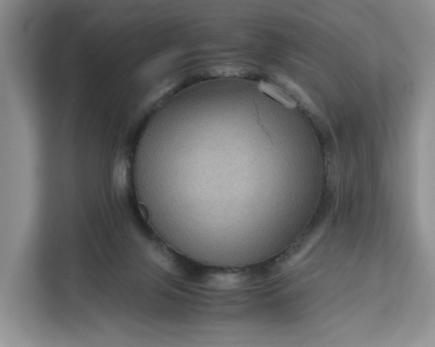 X0000111120071200907141159