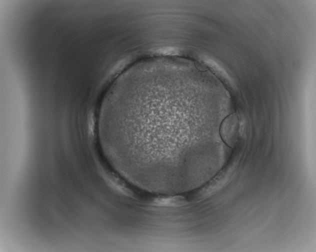 X0000111120072200907141159