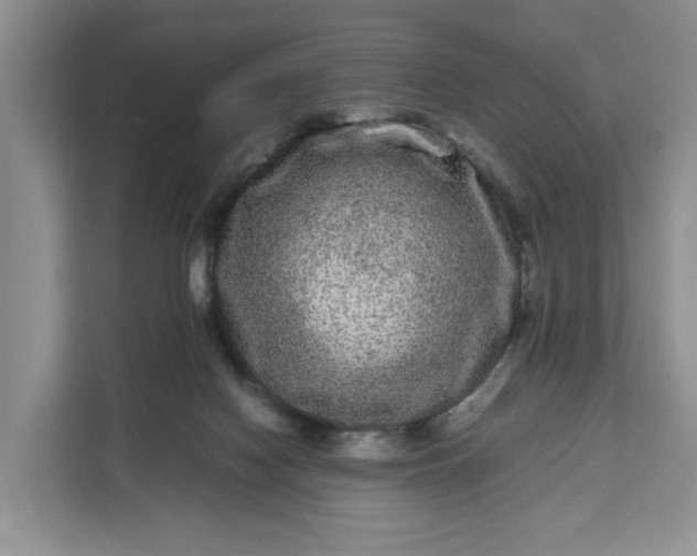 X0000111120074200907141159