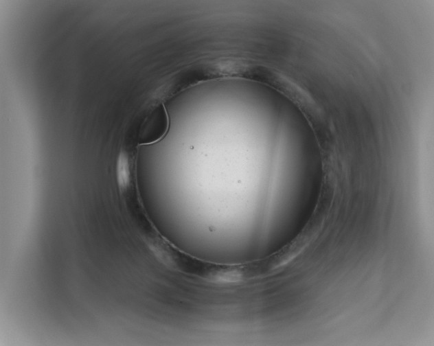 X0000111120075200907141159