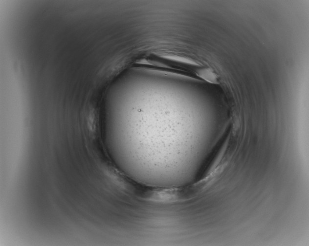 X0000111120078200907141159