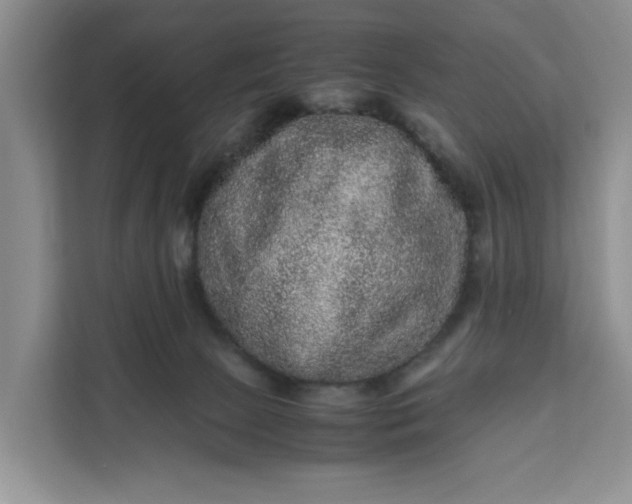 X0000111120081200907141159